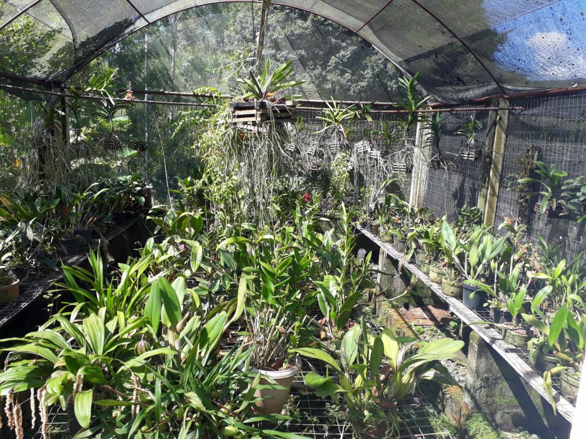 Casa/sítio na serra em Bom Jardim - RJ Exterior foto